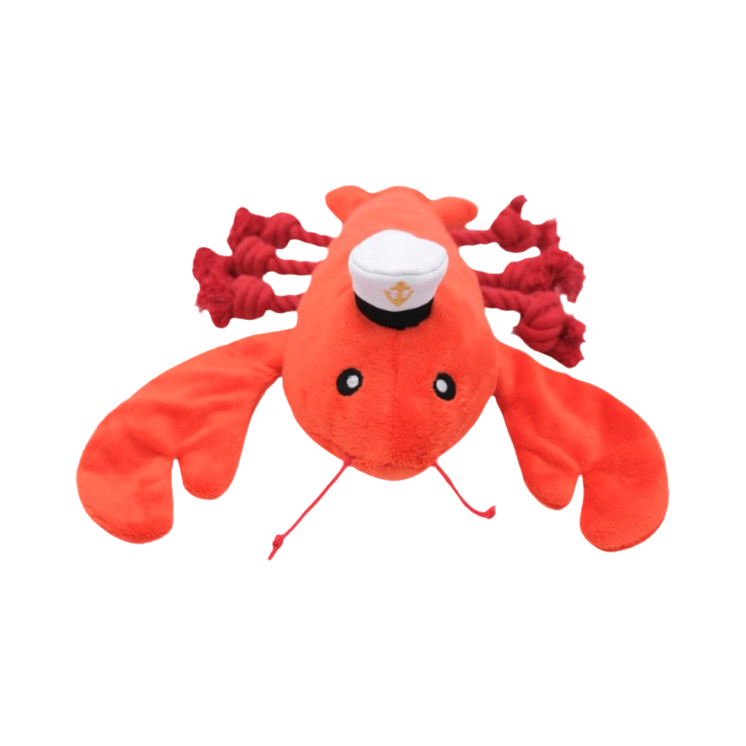 Homard rouge vu de face, casquette de marin et antennes en corde