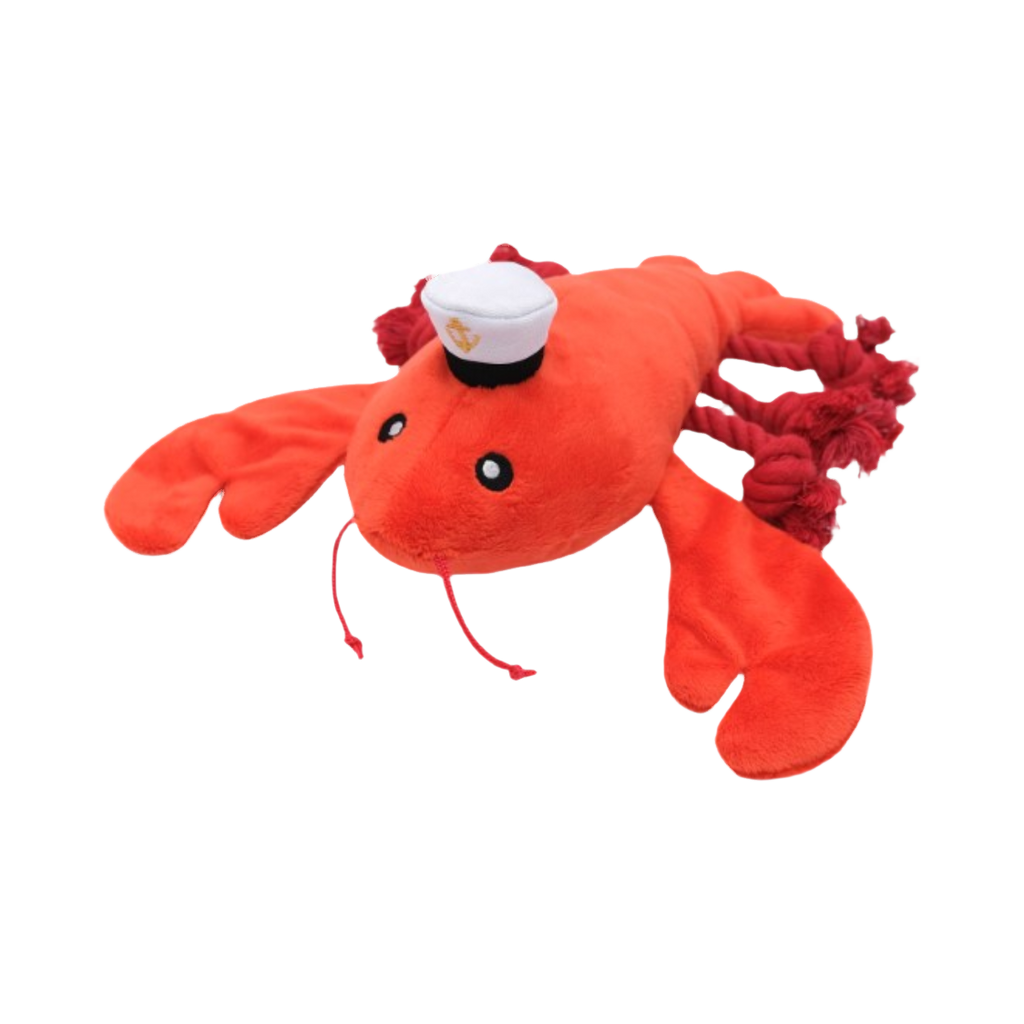 Homard rouge de trois quarts, grosses pinces et cordelettes