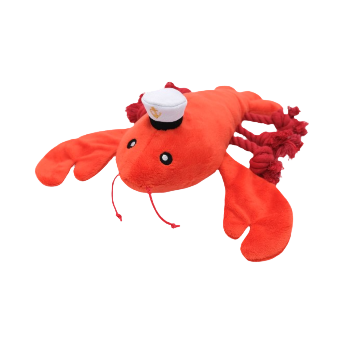 Homard rouge de trois quarts, grosses pinces et cordelettes