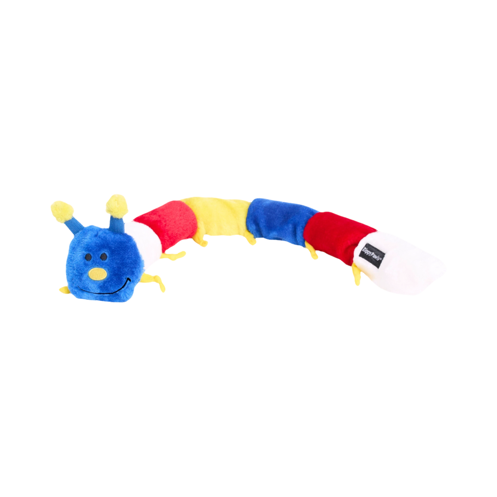 Chenille bleue, rouge, jaune et blanche aux antennes jaunes