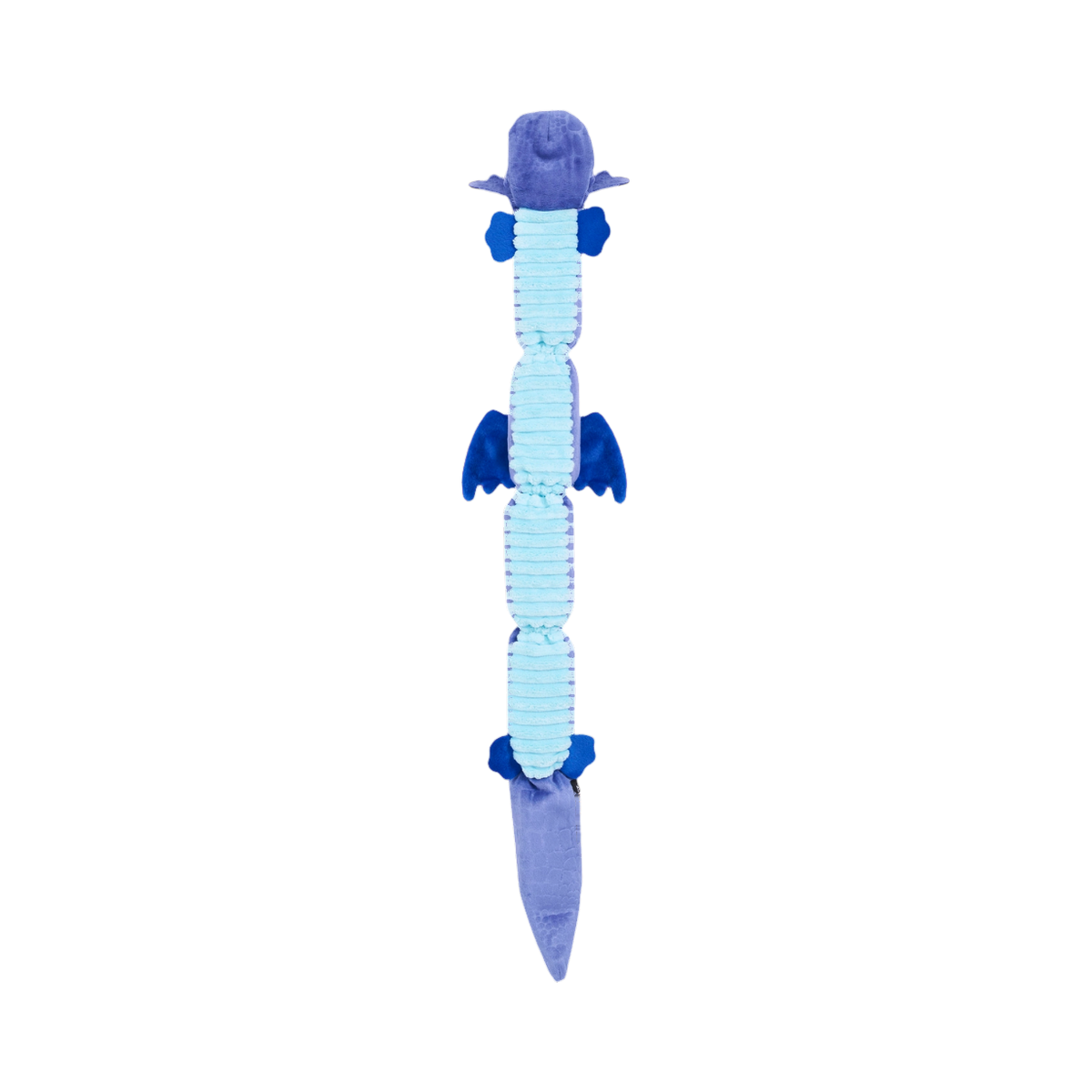 Ventre bleu ciel côtelé du dragon, vu de dessous