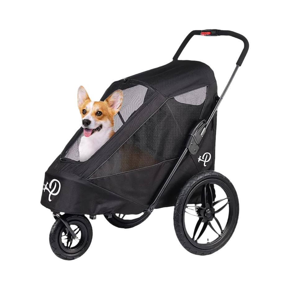 Corgi assis dans la nacelle noire à trois roues