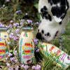 Smoothie pour chien Piña Paw-lada lapin & noix de coco – Smoothie Dog – 250 ml – photo 2