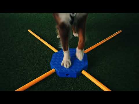 FitKinect Xtra pour chien – kit d'entraînement complet – FitPAWS