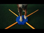 FitKinect Xtra pour chien – kit d'entraînement complet – FitPAWS
