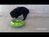 Jeu d’Intelligence pour Chiens - WOBBLE BOWL (Niveau 1)-Nina ottoson