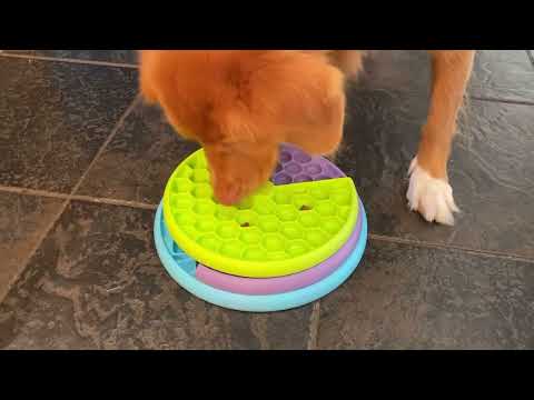Jeu d'intelligence pour chien Lickin' Layers – Nina Ottosson – niveau 2