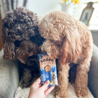 Deux caniches devant le sachet de bâtonnets dentaires Soopa pomme & myrtille