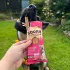 Chien qui prend un bâtonnet dentaire Soopa fraise tendu à la main