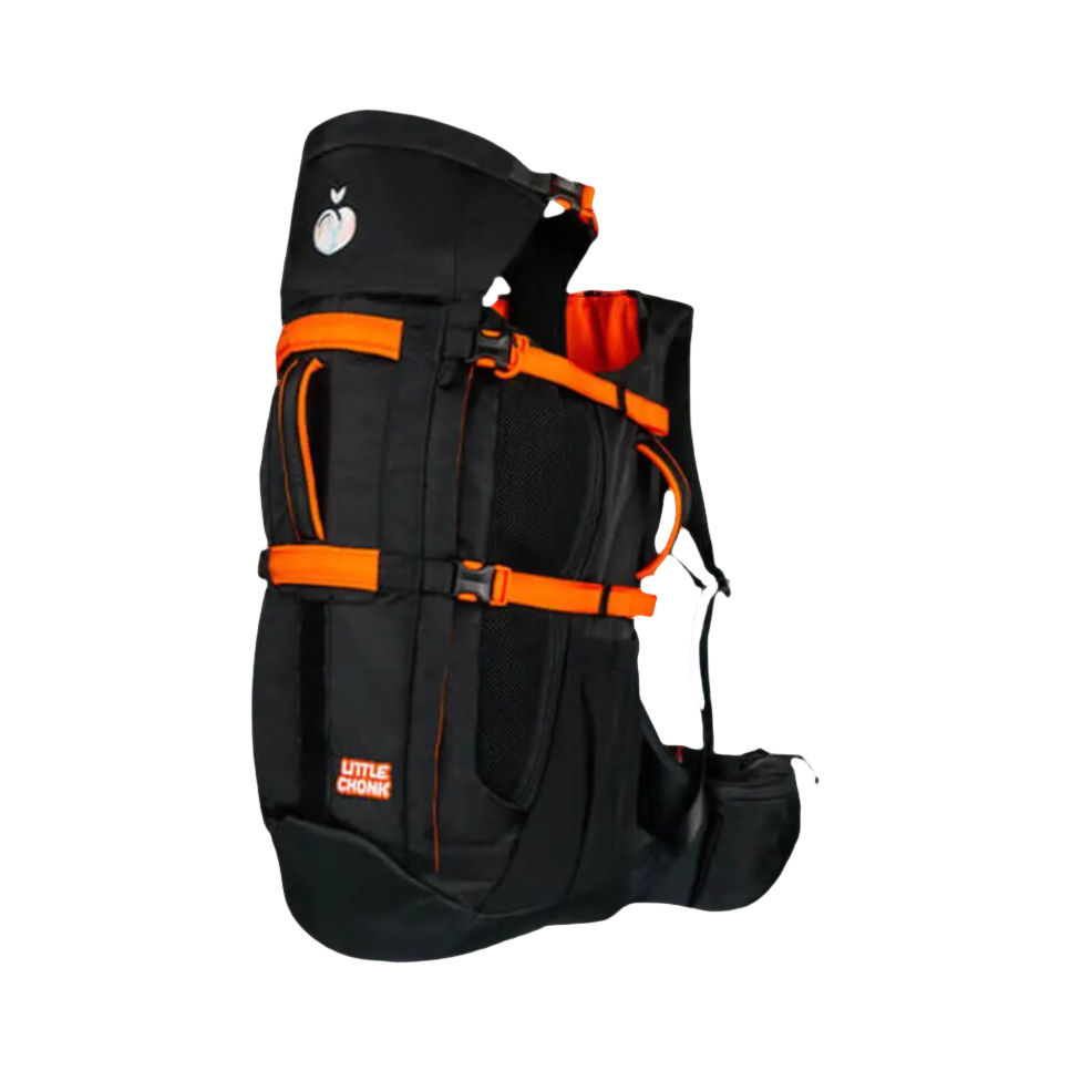 Sac porte-chien noir vu de dos avec poche
