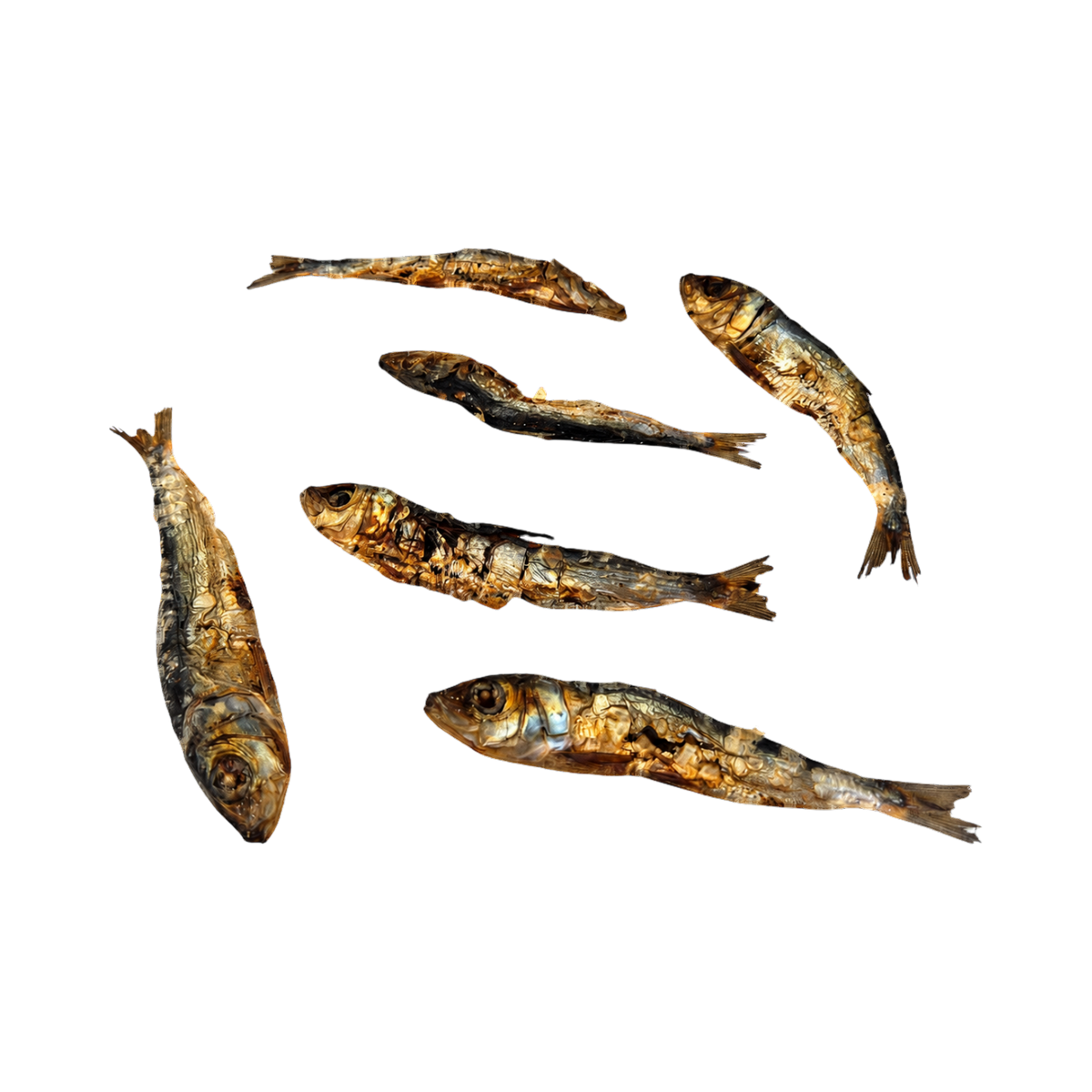 Six sardines entières séchées éparpillées
