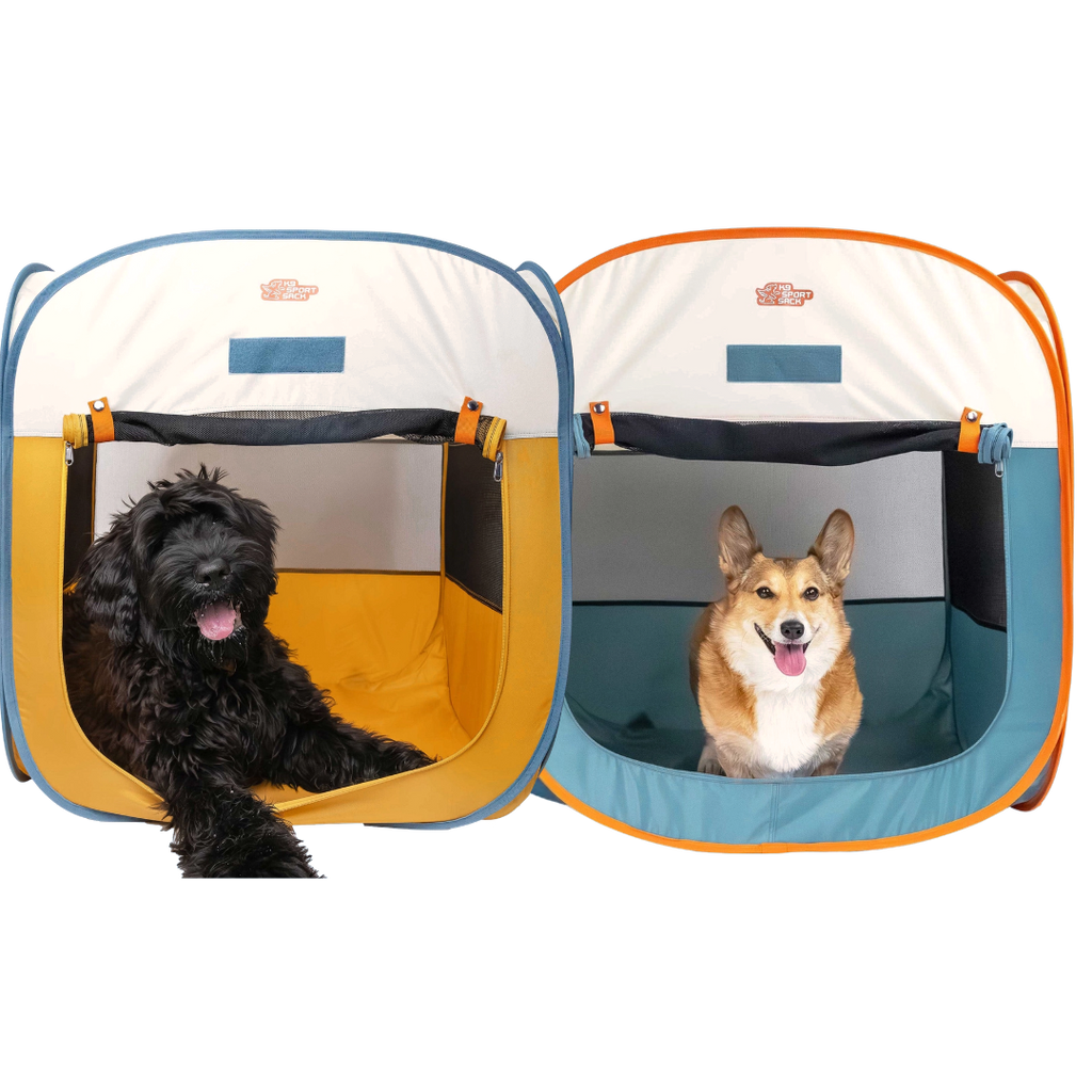 Deux tentes ouvertes avec un chien noir et un corgi
