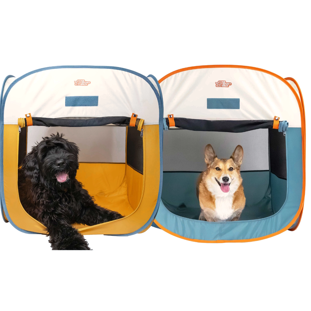 Deux tentes ouvertes avec un chien noir et un corgi