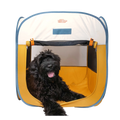 Grand chien noir frisé allongé dans la tente jaune