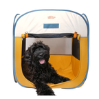 Grand chien noir frisé allongé dans la tente jaune