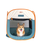 Corgi assis dans la tente bleu pétrole