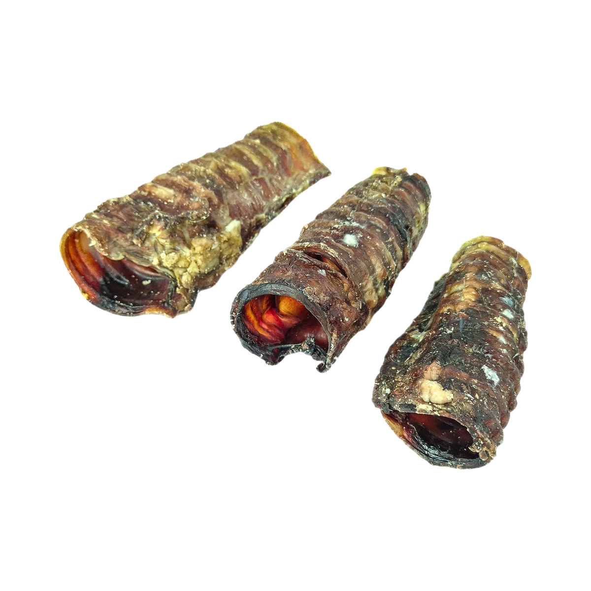 Trois tronçons de trachée de bœuf séchée