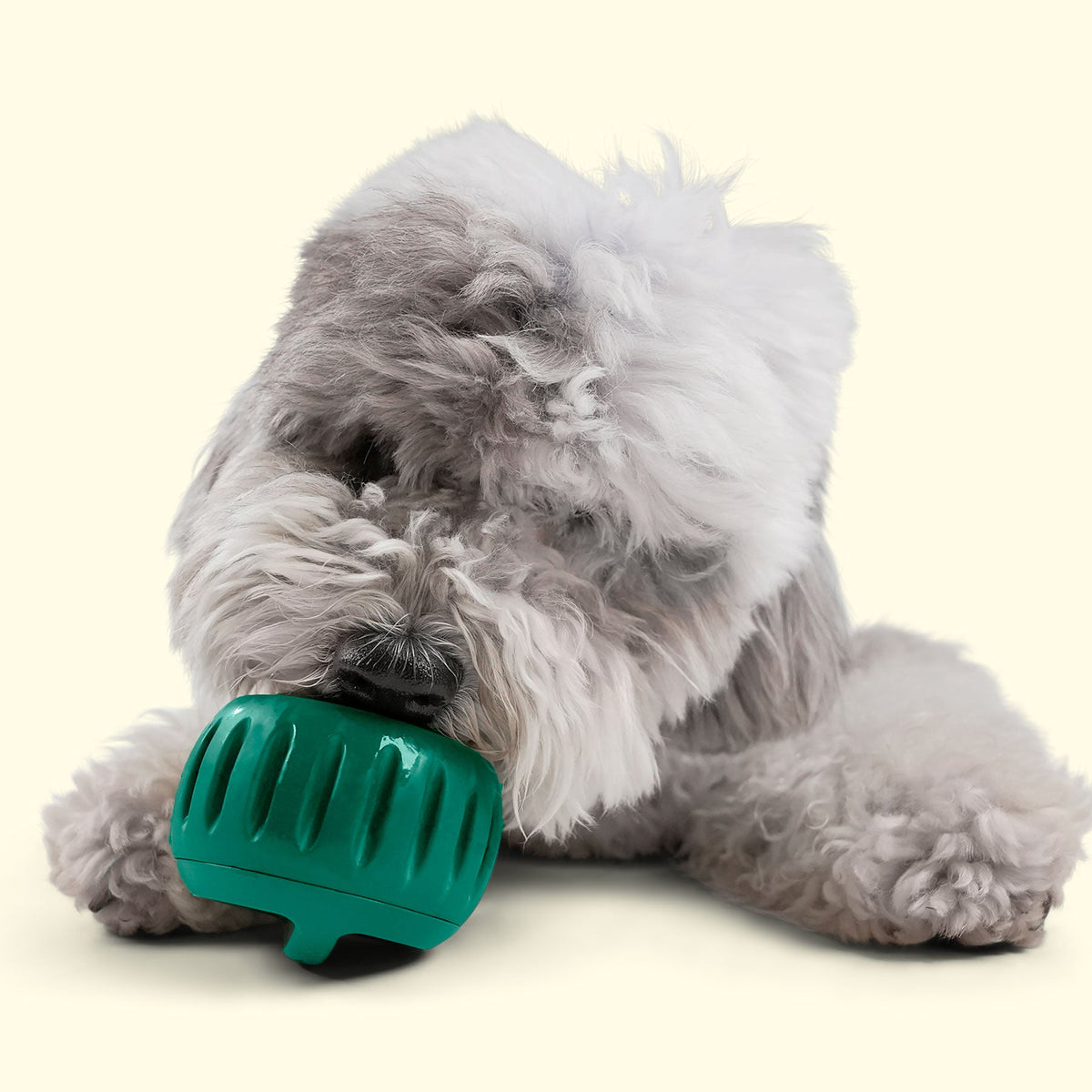 Plateau à friandises pour chiot Pupsicle L – Woof