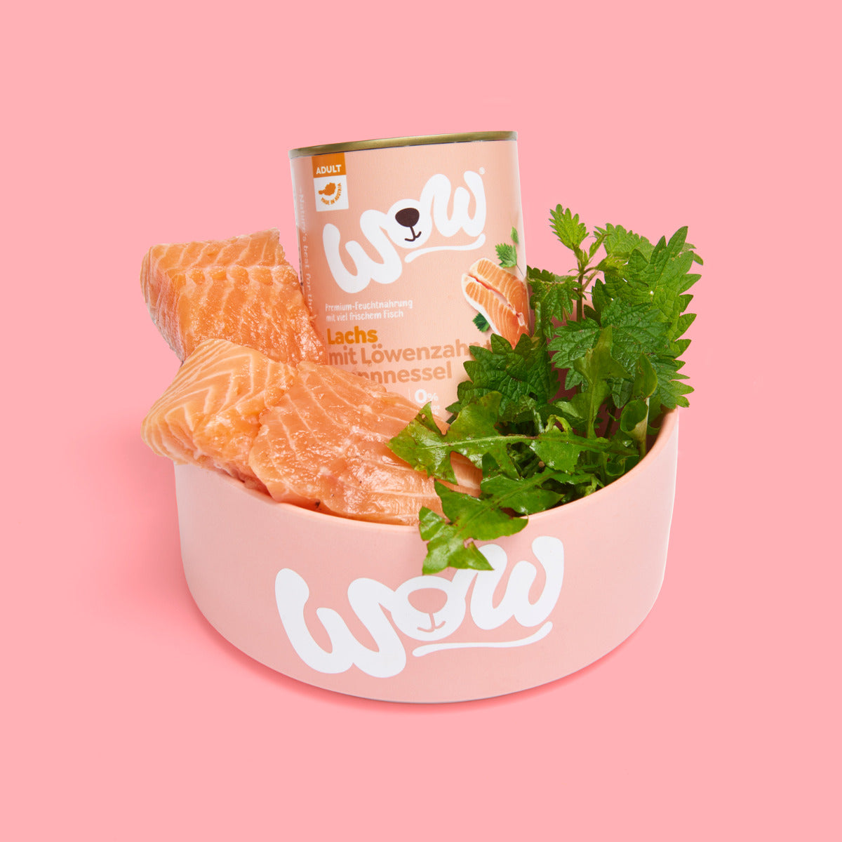 Pâtée WOW au saumon servie dans une gamelle avec du saumon cru et des herbes