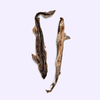 Tranches d'aiguillat séché pour chien – mastication naturelle – 600-800 g
