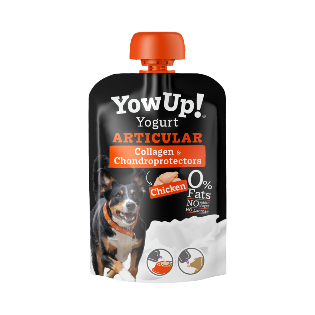 Gourde YowUp Articular au collagène et chondroprotecteurs