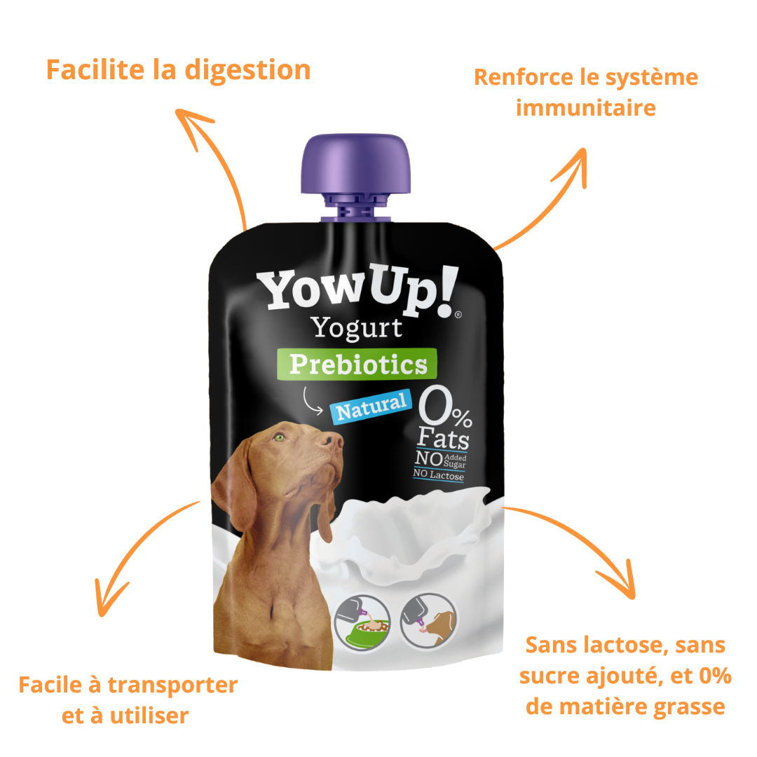 Bienfaits du yaourt YowUp : digestion, immunité, sans lactose ni sucre
