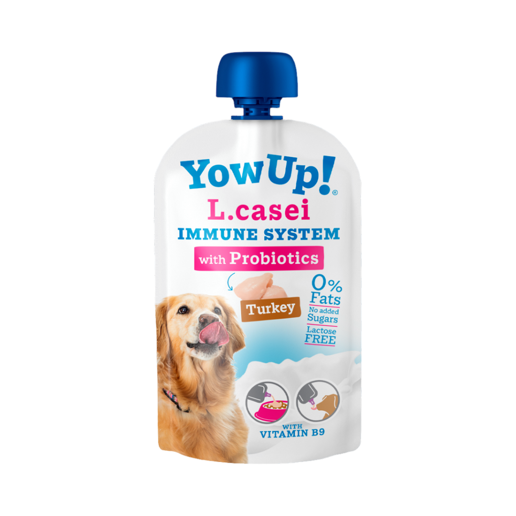Gourde YowUp L.casei Immune System aux probiotiques, Turkey