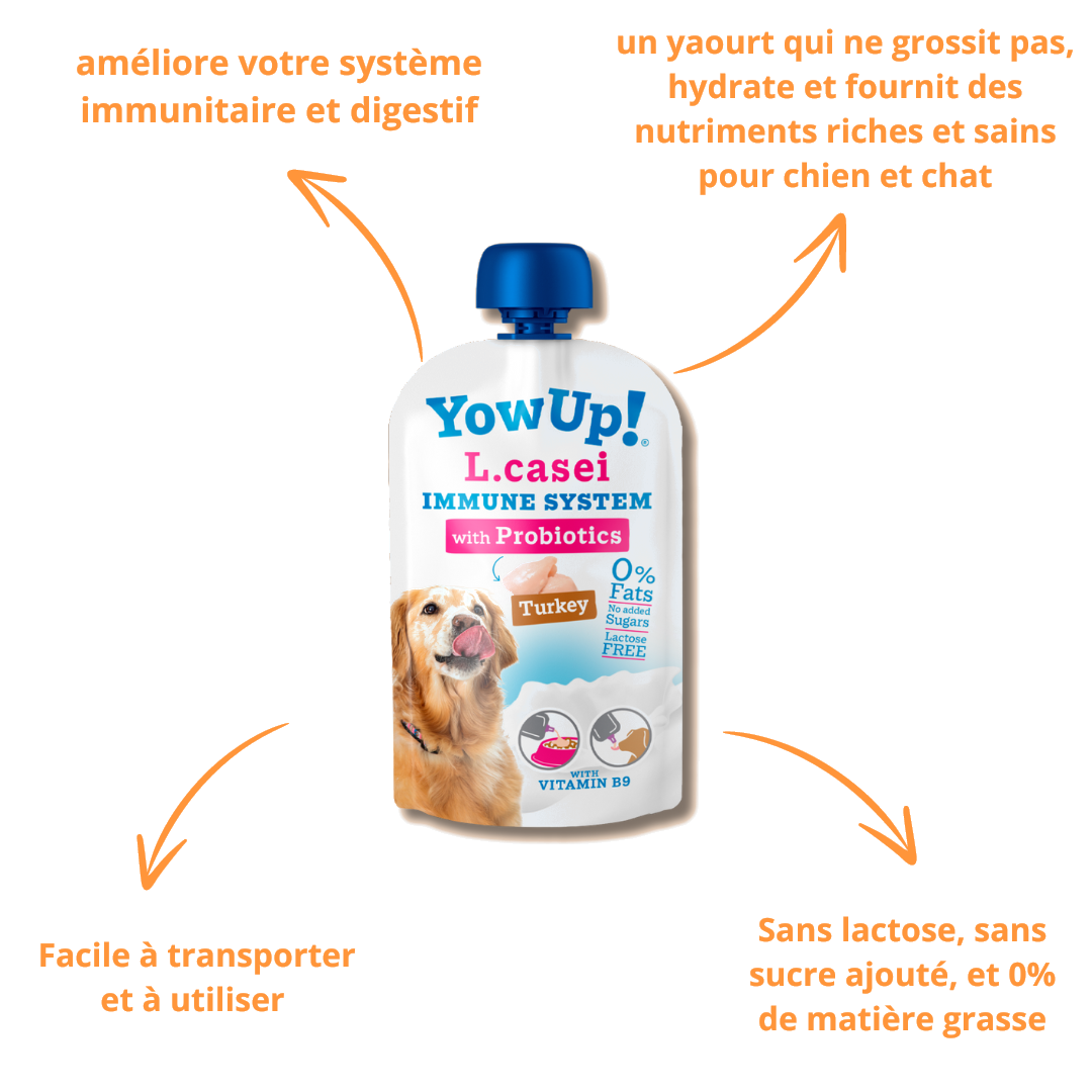 Bienfaits du yaourt L.casei : immunité, digestion, sans lactose ni sucre