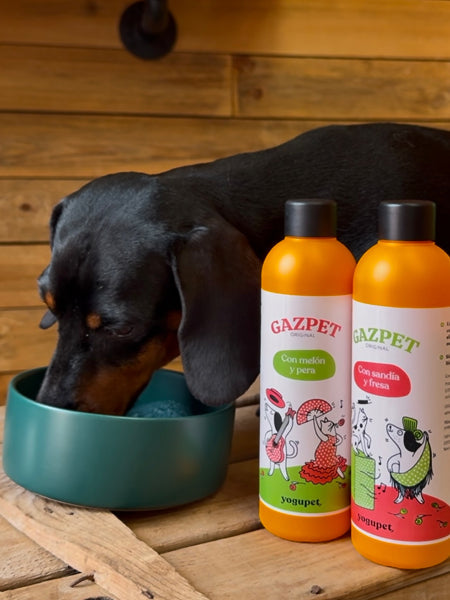 Gaspacho Gazpet pastèque & fraise pour chien & chat – Yogupet