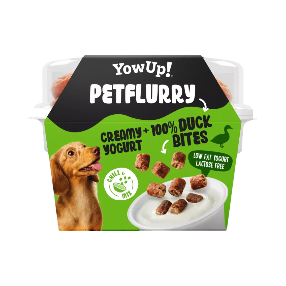 Pot vert Petflurry Duck Bites avec chien