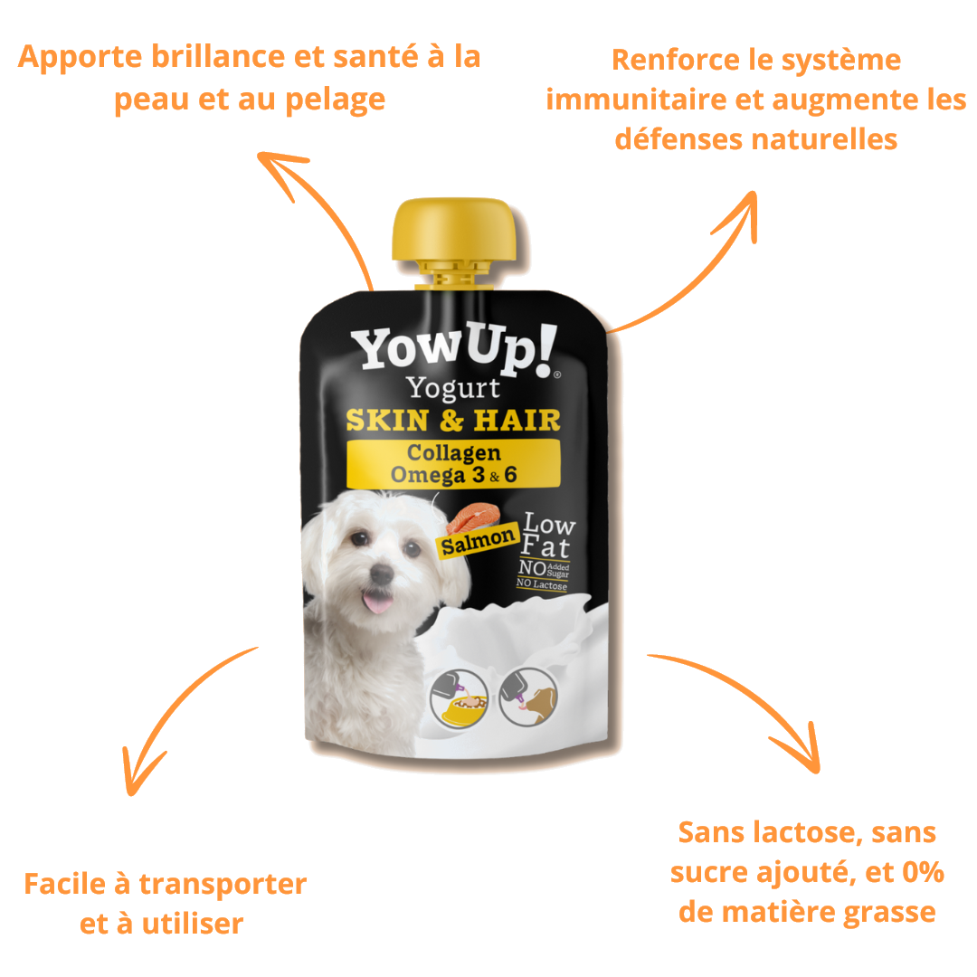 Bienfaits YowUp Skin & Hair : brillance du pelage, défenses naturelles