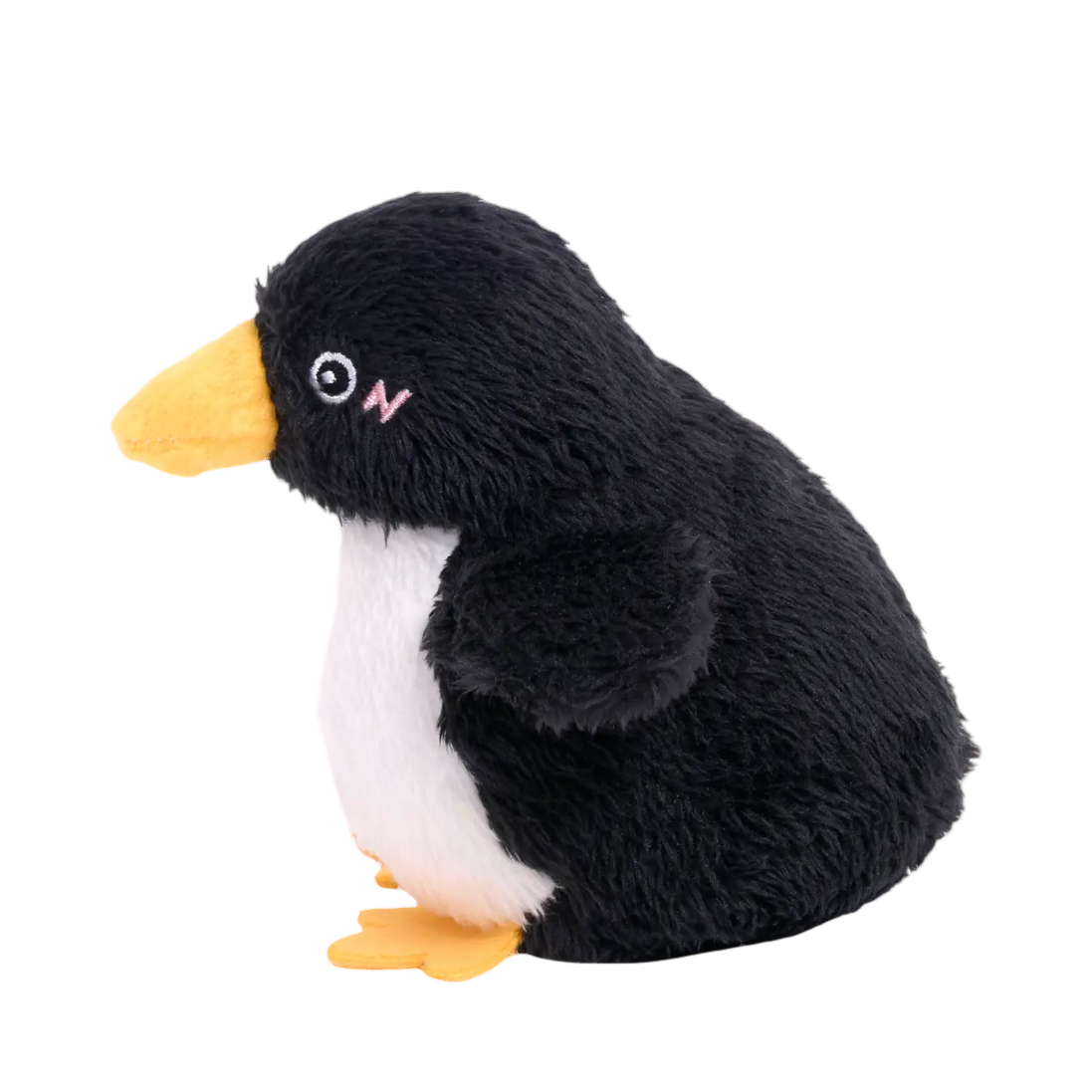 Manchot noir de profil, bec orange tendu