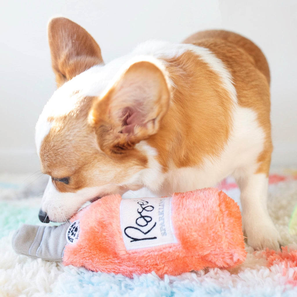 Corgi allongé sur la peluche bouteille de rosé ZippyPaws