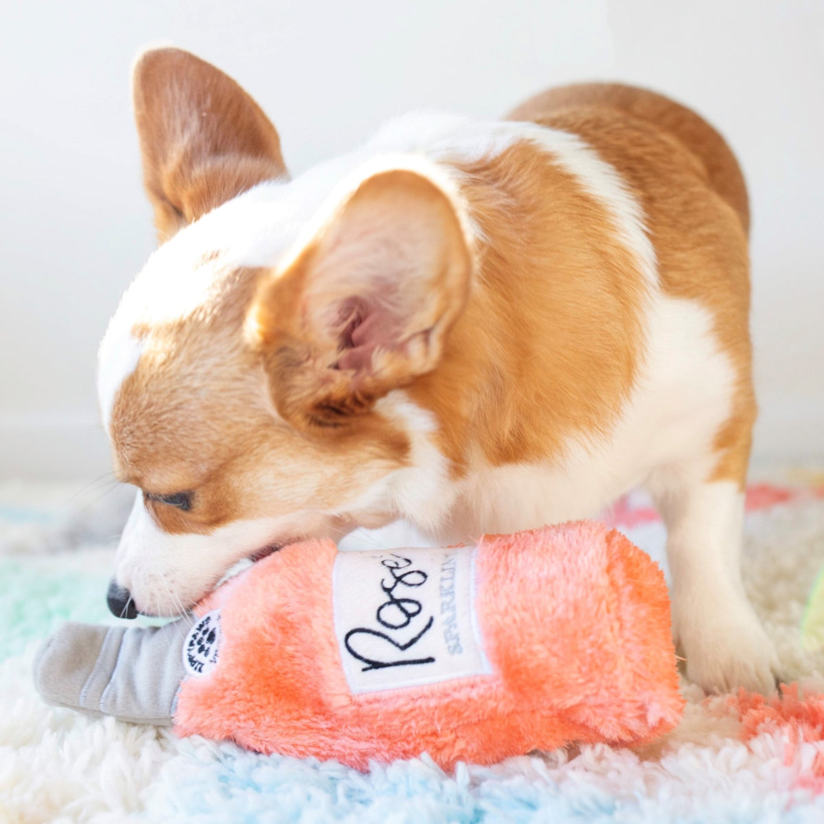Corgi allongé sur la peluche bouteille de rosé ZippyPaws