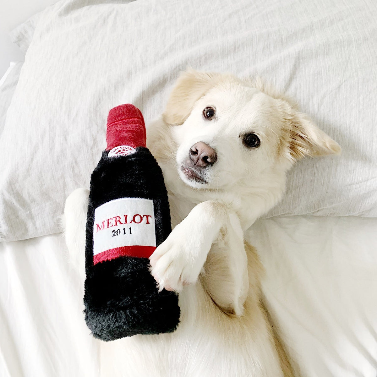 Chien blanc couché sur un oreiller avec la peluche bouteille de vin rouge ZippyPaws
