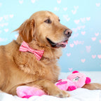 Golden retriever avec la peluche ours rose Jigglerz ZippyPaws