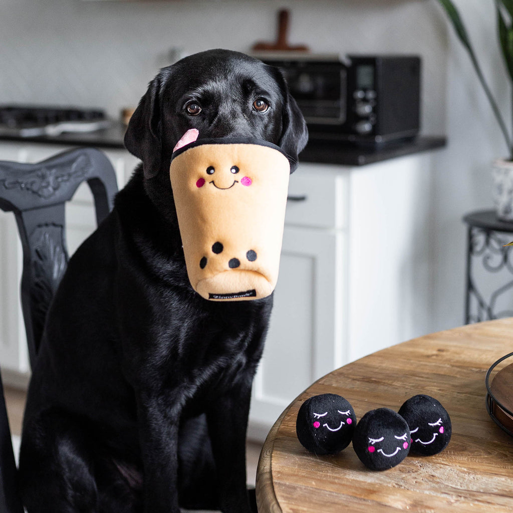 Labrador noir qui tient dans la gueule la peluche bubble tea ZippyPaws, perles posées sur la table