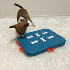 Petit chien jouant avec le plateau bleu sur un tapis