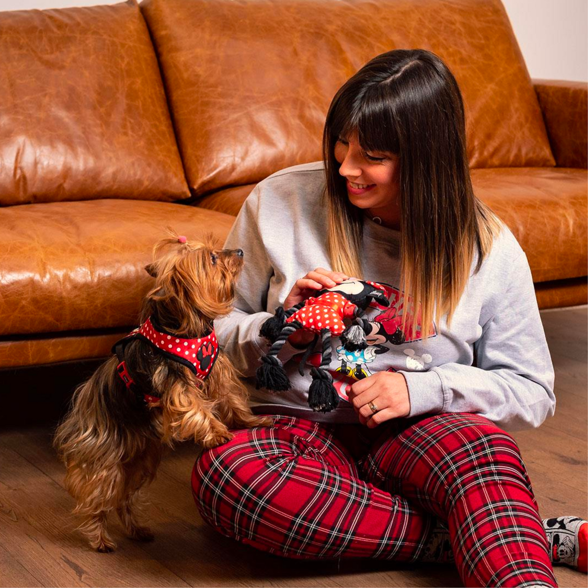 Femme assise avec son yorkshire qui joue avec Minnie
