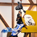 Teckel qui saute vers le jouet suspendu, coussins R2-D2 et stormtrooper