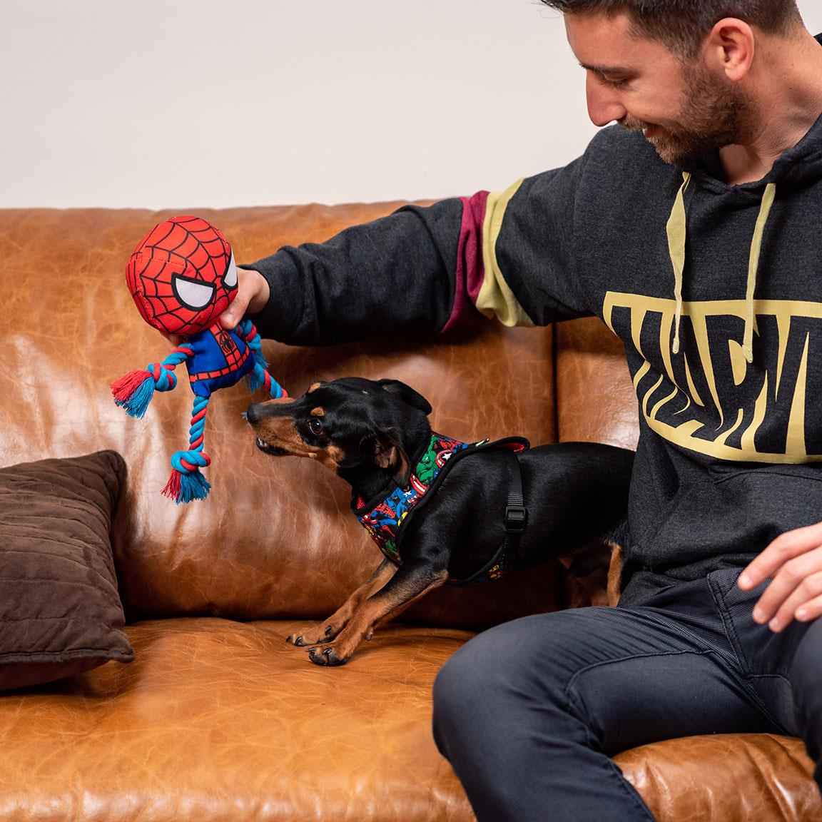Homme sur un canapé qui joue avec son chien et Spider-Man