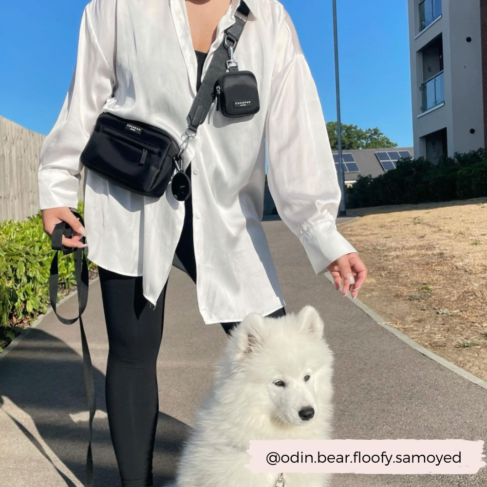 Femme promenant un chien blanc, sac noir en bandoulière