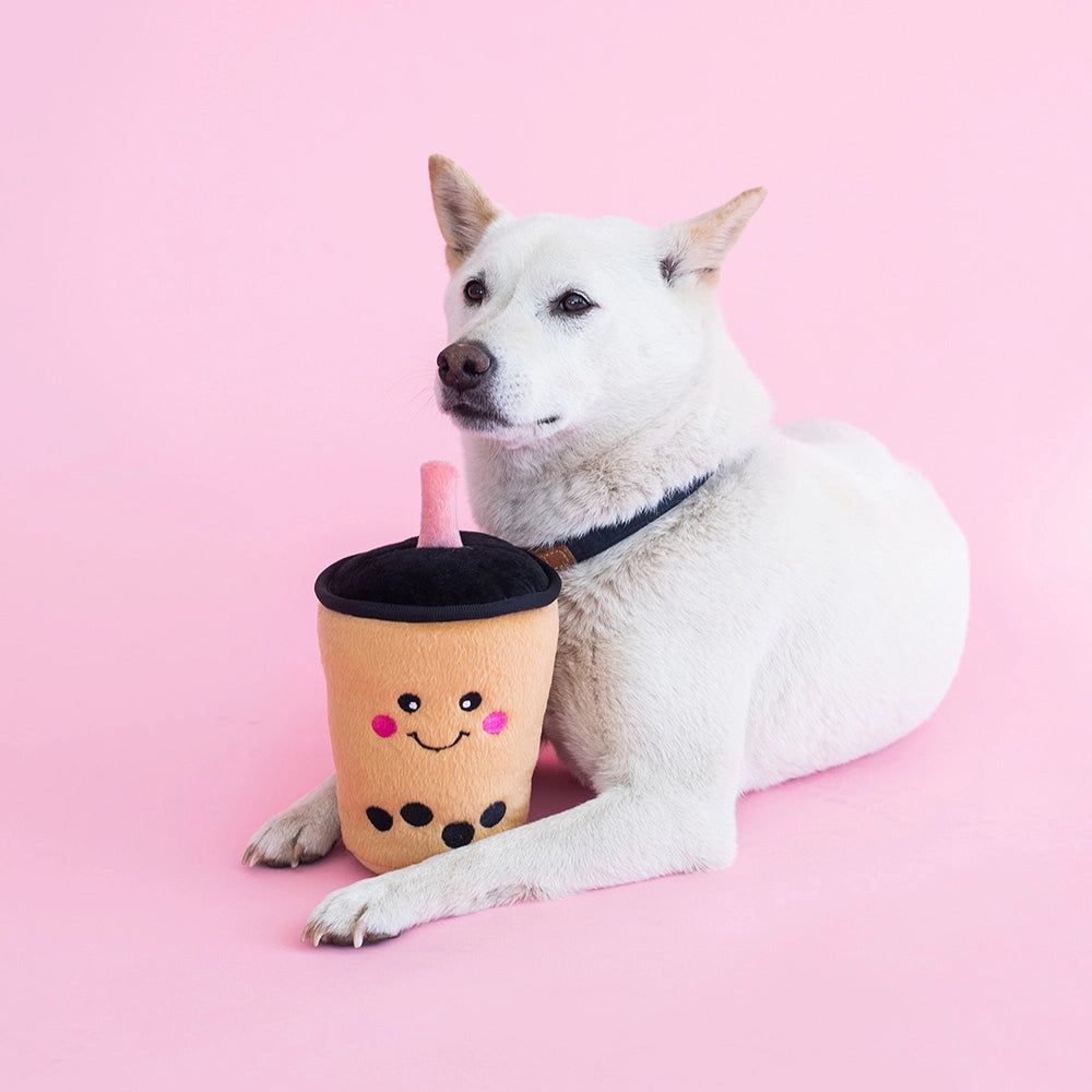 Chien blanc couché sur fond rose à côté de la peluche boba
