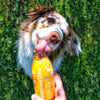 Smoothie Dog - Smoothie Pour Chien