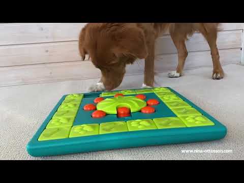 Jeu d'intelligence pour chien MultiPuzzle – Nina Ottosson – niveau 4
